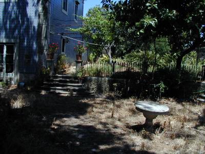 Patio e jardim