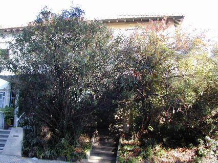 Fachada principal